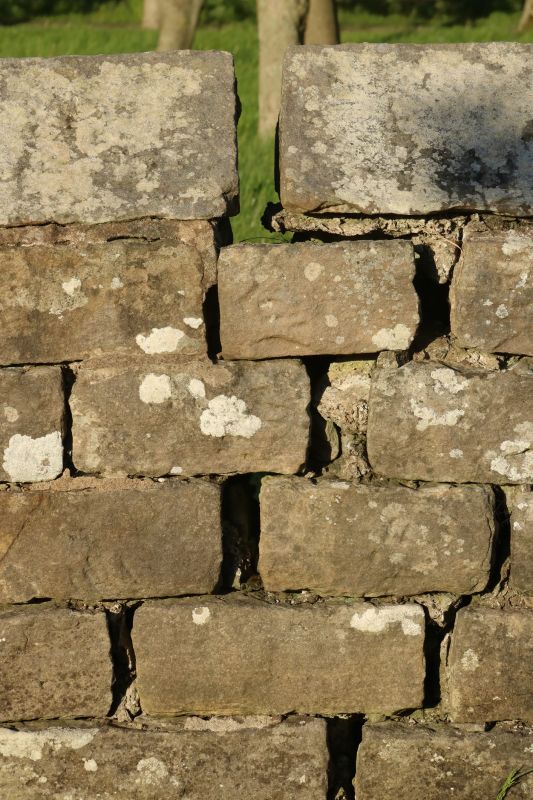Stone Wall Repair in Alpine, UT